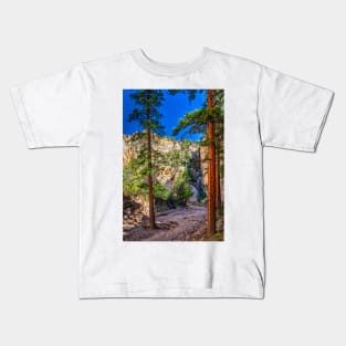 Lick Wash Trail Hike Kids T-Shirt